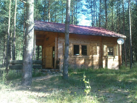 Holzhütte im Wald