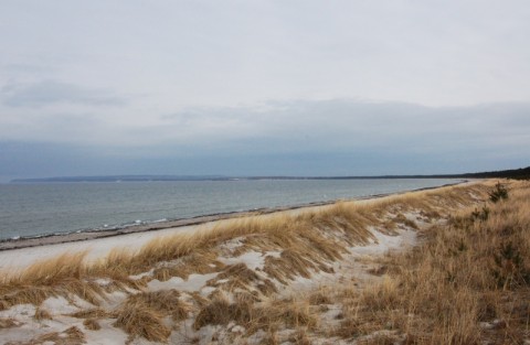 Strand von Schaabe