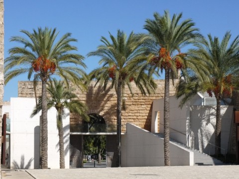 Museo Esbaluard