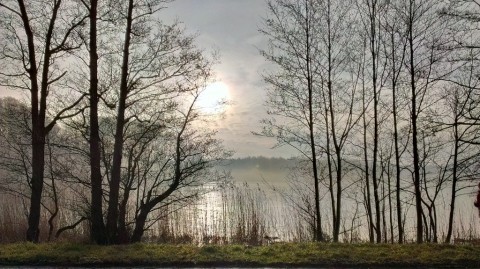 Nebel über dem See